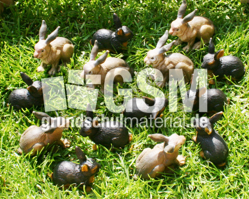Kaninchen-14.jpg